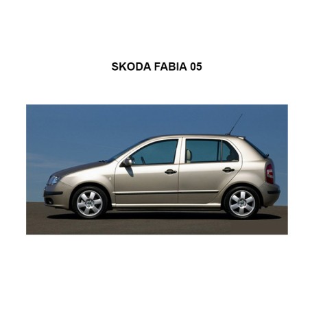 CAM RÜZGARLIĞI MUGEN SKODA FABİA 05 B20 51018001 KGN