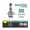 AMPÜL FAR BEYAZ IŞIK 12V H7 %130 FAZLA SENTİNEL NV H7 NV-H7 SENTİNEL