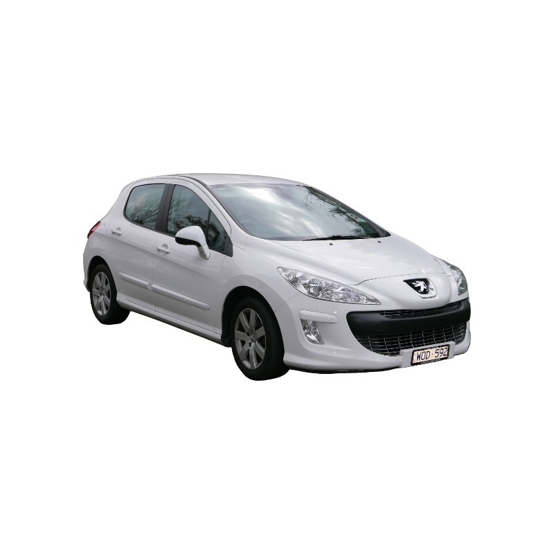 CAM RÜZGARLIĞI MUGEN PEUGEOT PEJO 308 07-21 YRL 0144 YRL-0144 YRL-ERN