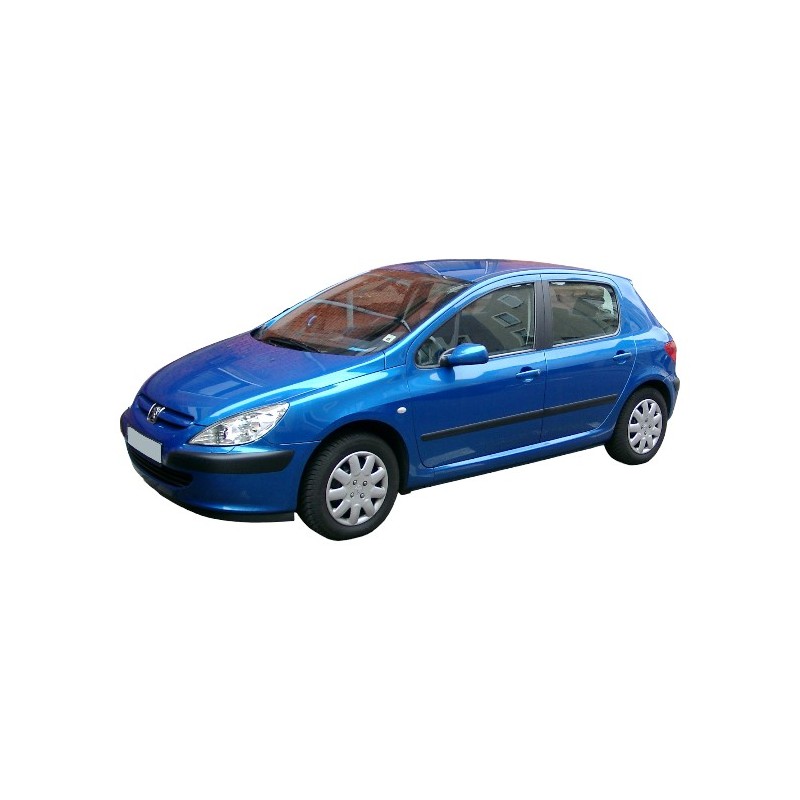 CAM RÜZGARLIĞI MUGEN PEUGEOT PEJO 307 YRL-0190 YRL-ERN