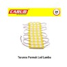 LED LAMBA MODÜL TİP 3 LEDLİ MERCEK CAMLI SOFT TURUNCU 24V 0409933 CARU
