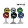 PUSULA VANTUZLU ORTA BOY 6LI SET 38MM 5201304 RENKİ ÇEŞİT 5201306 CARU