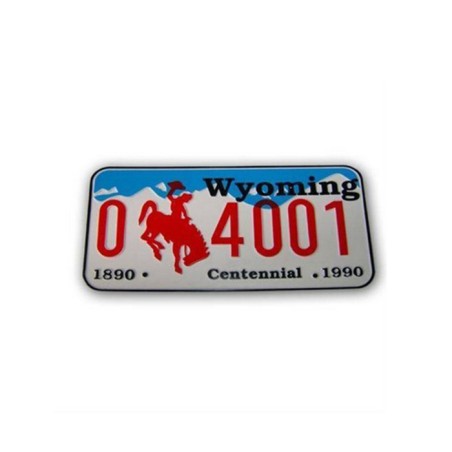 ARMA AMERİKAN PLAKA BÜYÜK WYOMİNG APB 06 APB-06 YERLİ