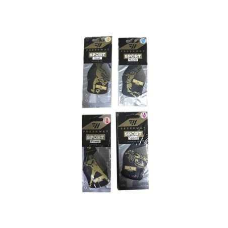 OTO BAKIM KOKU ASMA KAĞIT DRY SPORT KARIŞIK 6 ÇEŞİT FW DSP FW-DSP LEAD